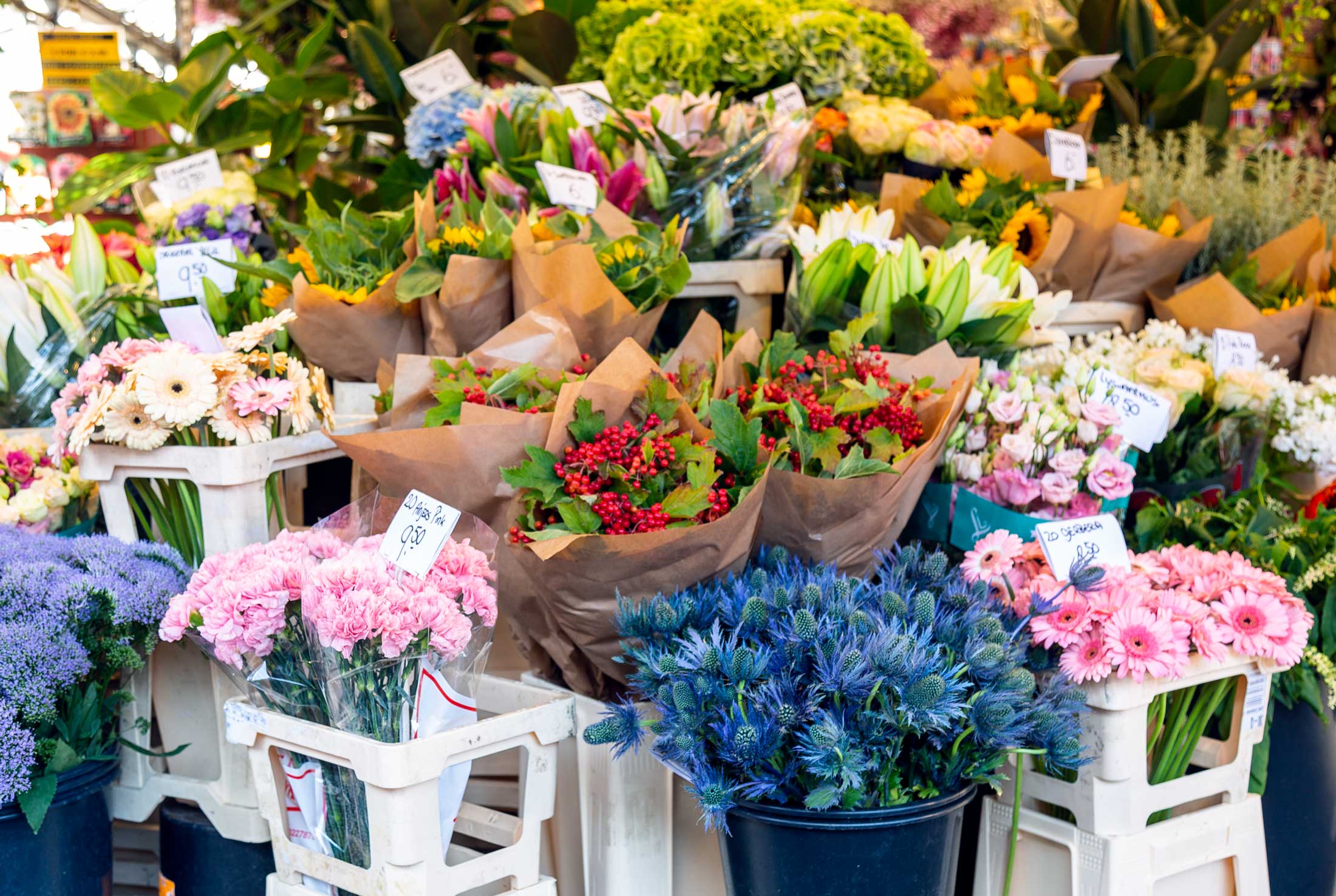 Bloemenmarkt amsterdam