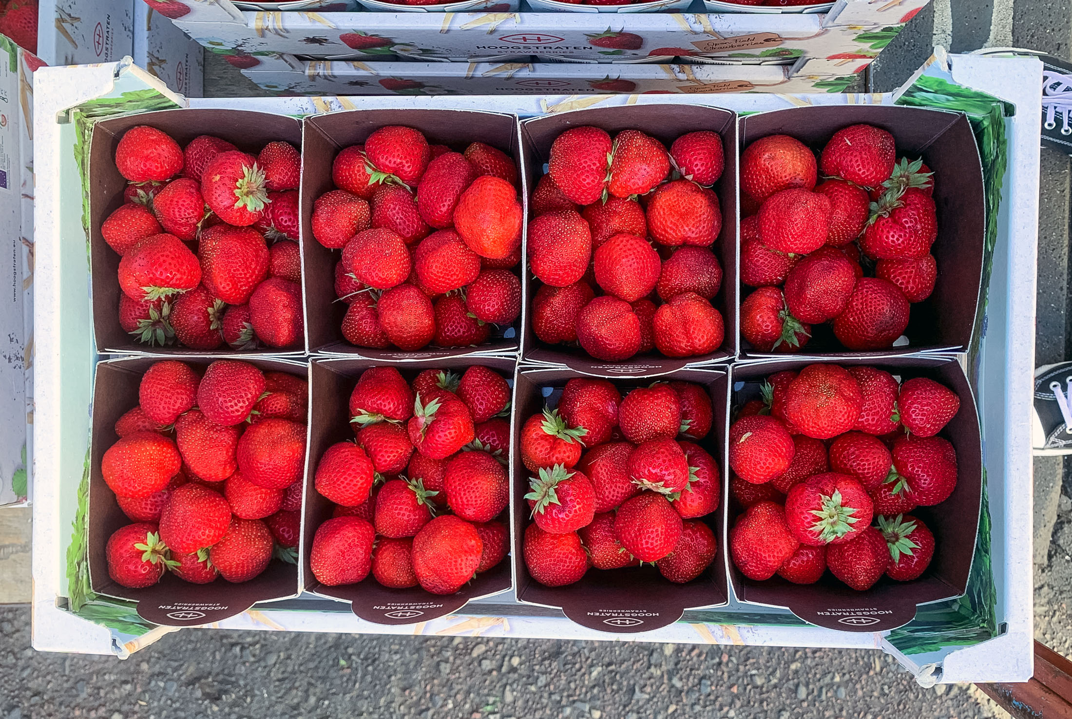 amsterdam fresh strawberries at Albert Cuyp Market