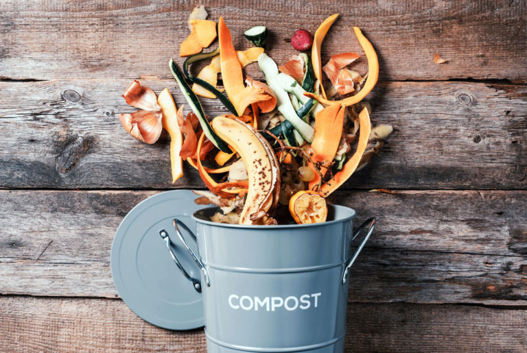 composting basics