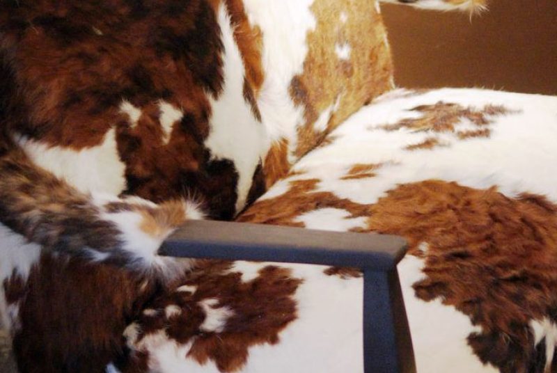 cowhide-settee