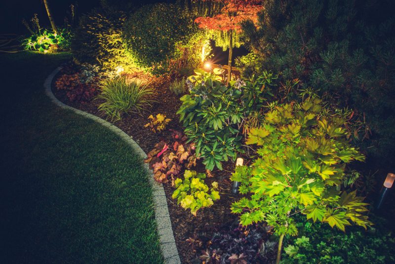 landscape lighting