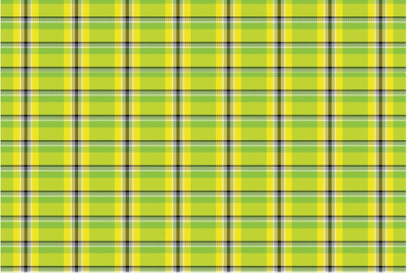 plaid facts