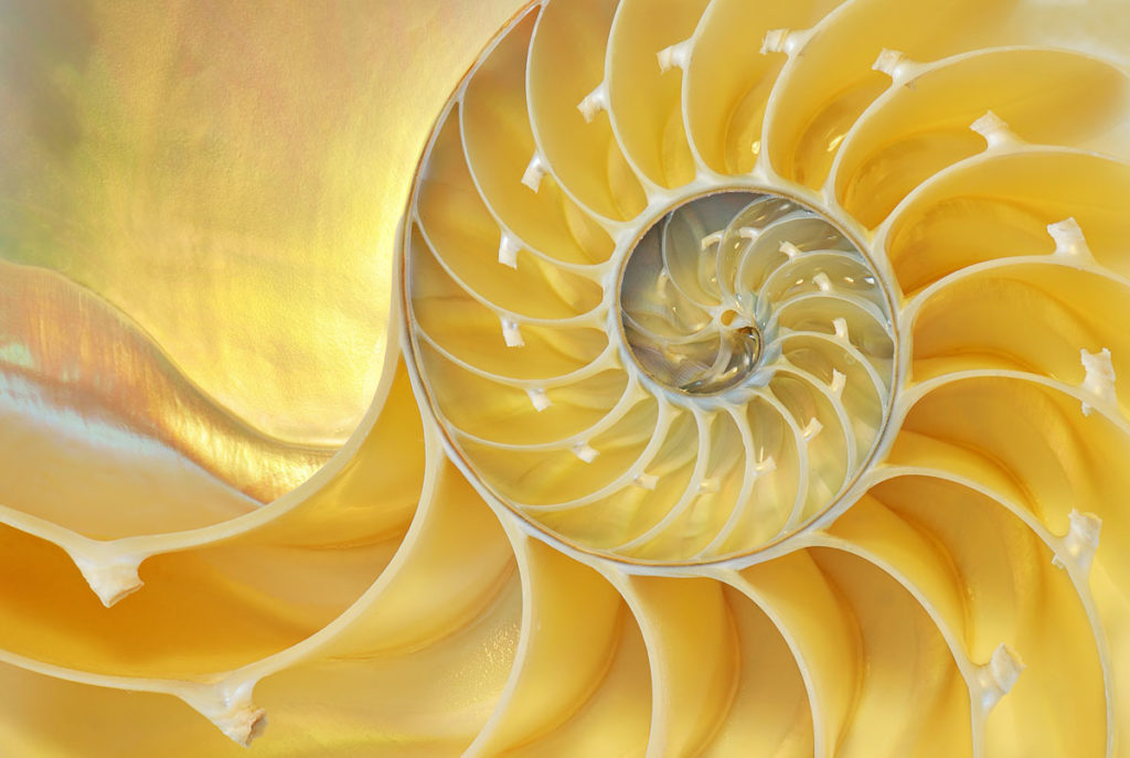 golden spiral