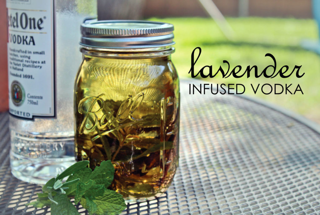 lavender infused vodka recipe