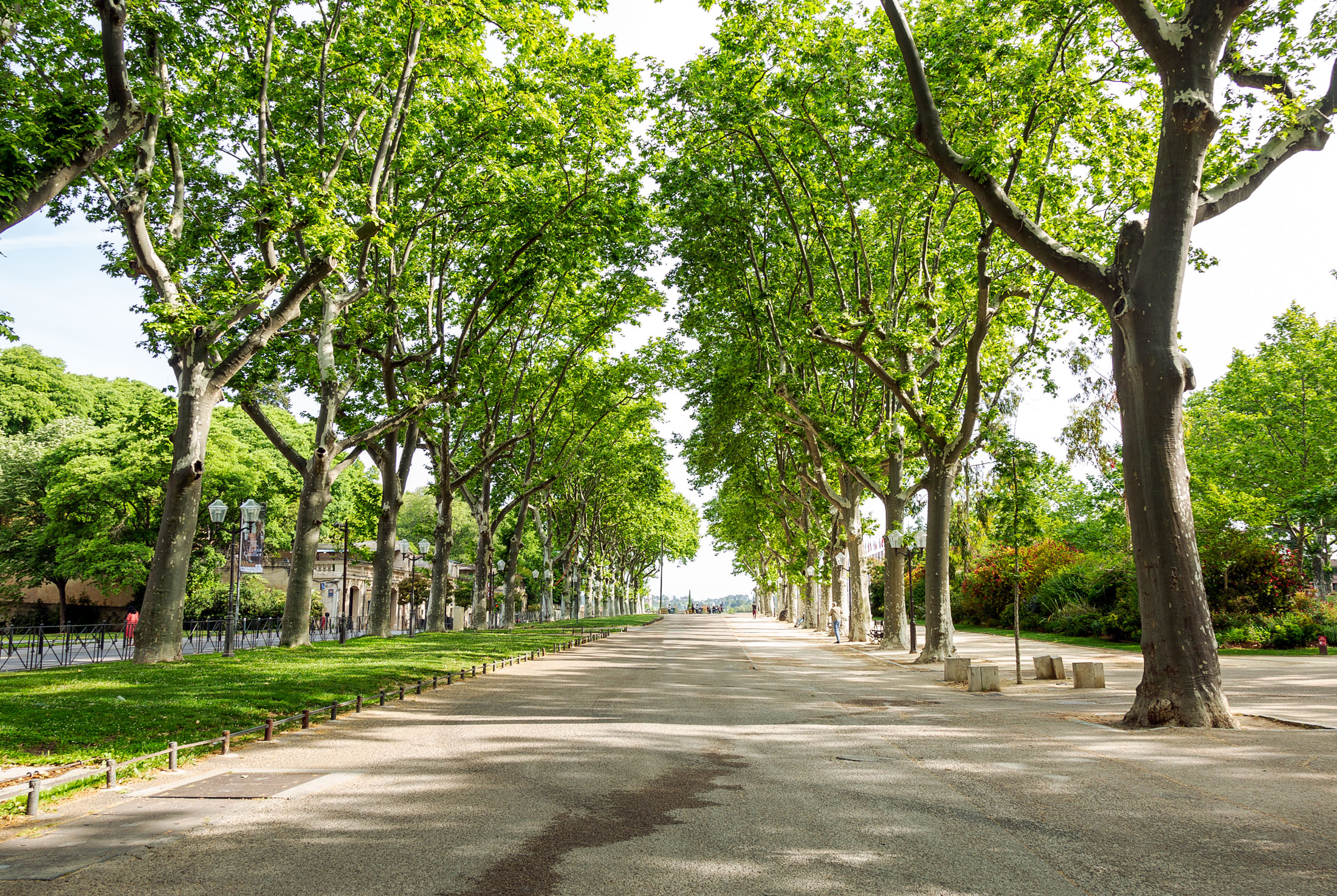 montpellier esplanade charles de gaulle