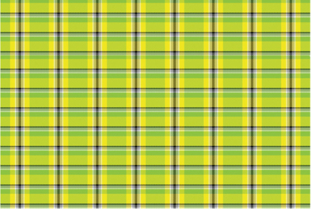 plaid facts