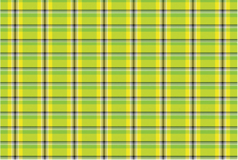 plaid facts